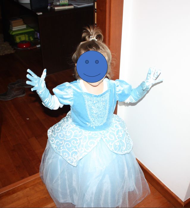 Fantasia Cinderela Delux