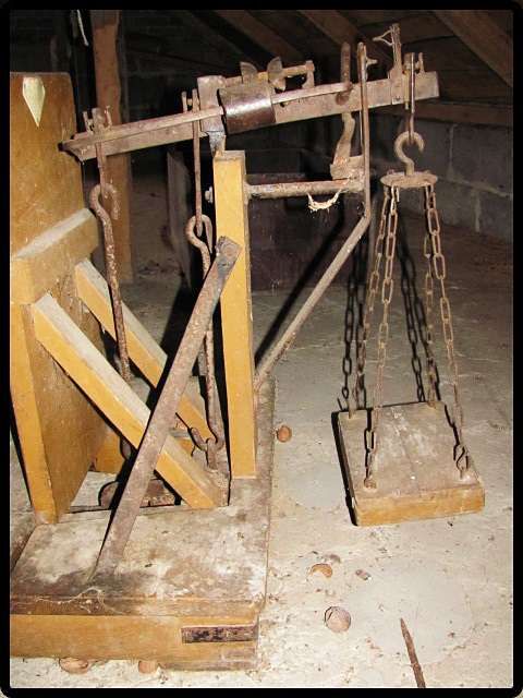 Waga dziesiętna rolnicza szalkowa do 200 kg - Waga rolnicza