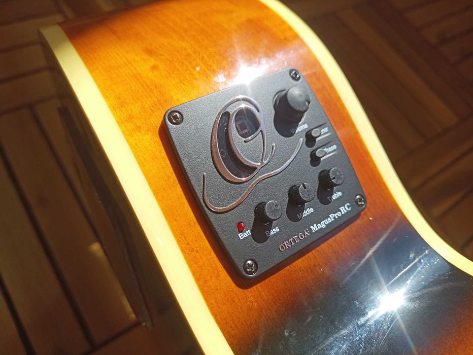 Aria pro FEB-DLX, bas akustyczny, gitara basowa