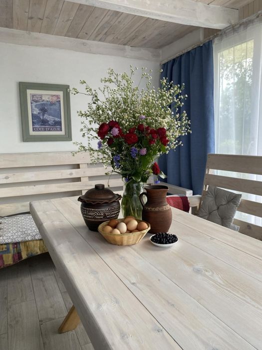 Баня на дровах в екосадибі Тальки біля соснового лісу