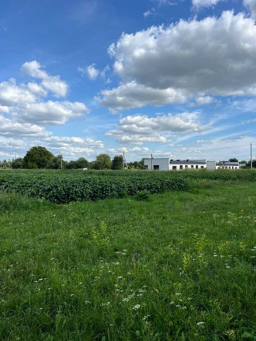 Продаж ділянки в Липинах 51 сотка