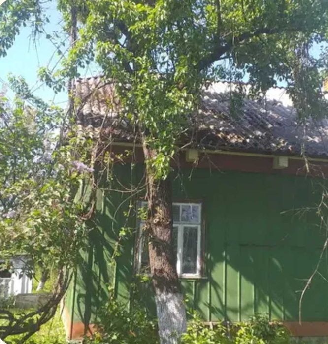 Будинок в селі Гута.