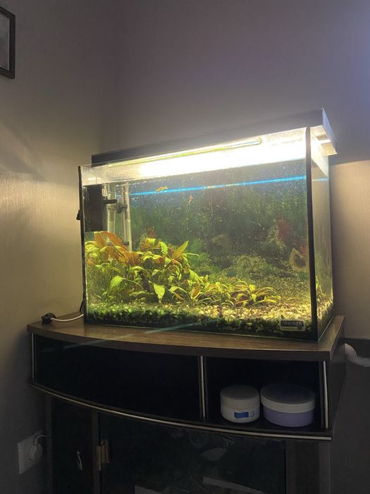 Продам акваріум