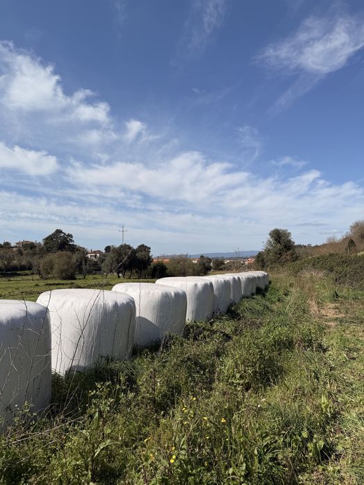 Rolos de Erva 1.50mx1.20m