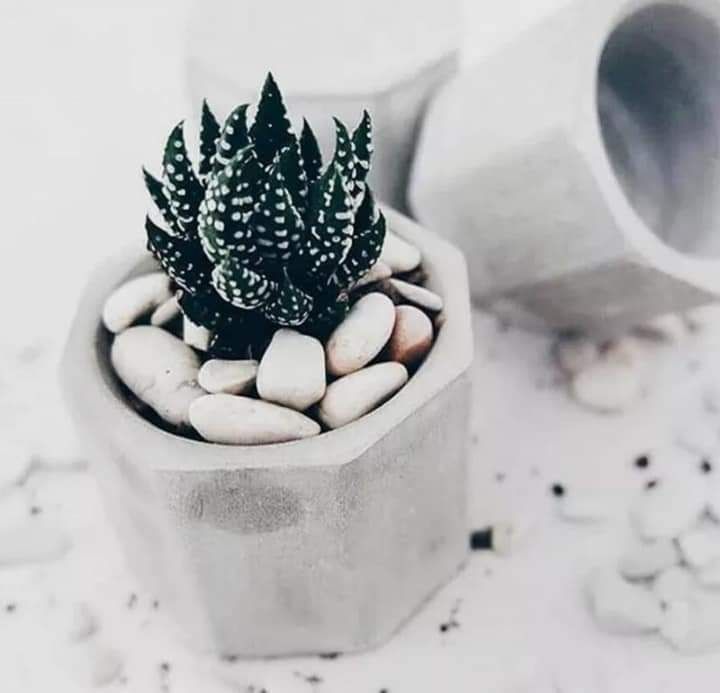 Vasos Artesanais em Cimento para Suculentas e Cactos. APENAS 0,99€.