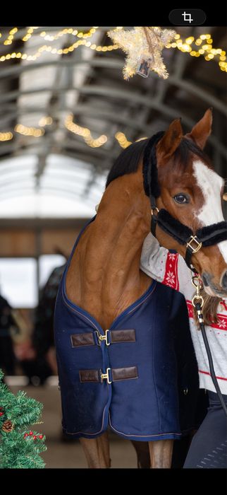 Derka kentucky polarowa cooler granatowa