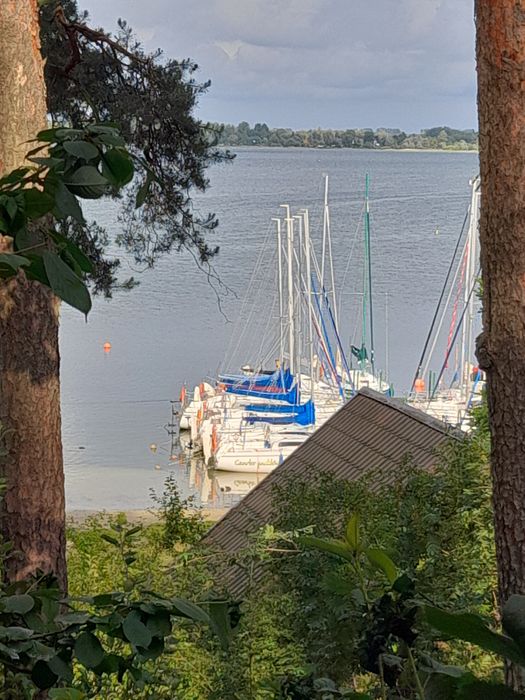 Domek w Powidzu do wynajecia
