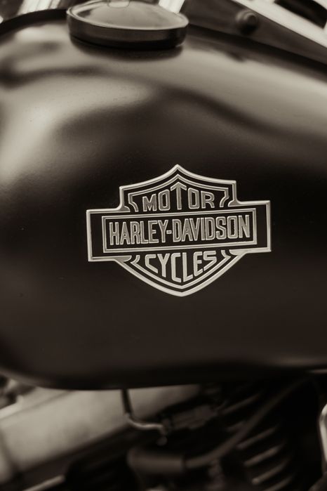 Harley Davidson Fat Bob FXDF 1600