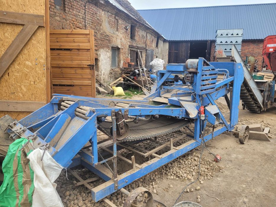 Sortownik do ziemniaków