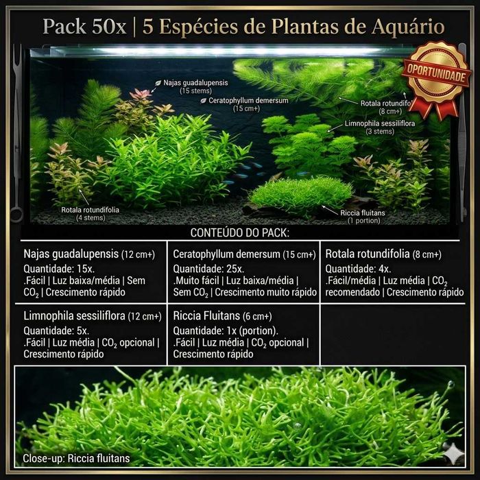 Pack 60x | 5 Espécies de Plantas de Aquário – Baixa Exigência