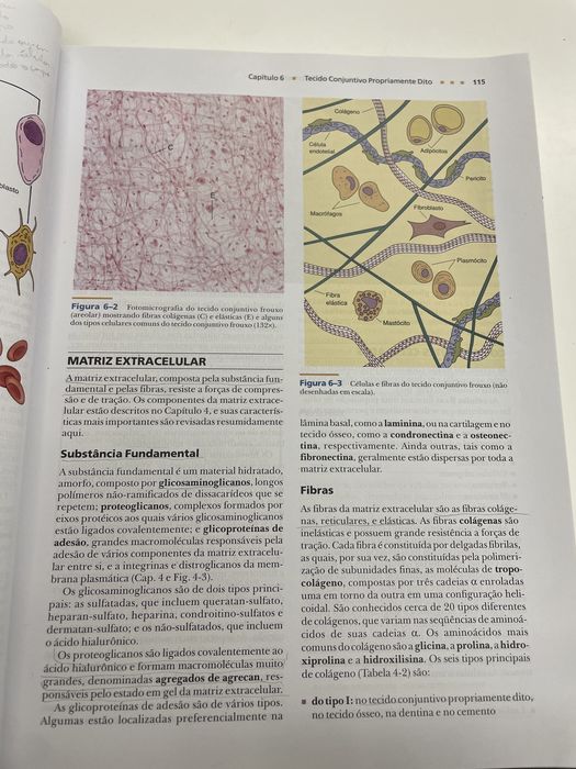 Tratado de Histologia em cores - 3a Edição