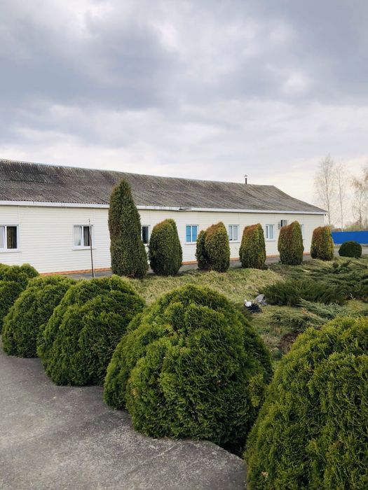 ГОТОВИЙ Бізнес— КАФЕ / БАНКЕТНИЙ КОМПЛЕКС у м. Любар