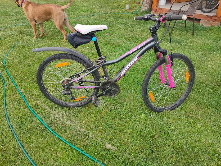 Rower górski GIANT lub AUTHOR koła 24 cale