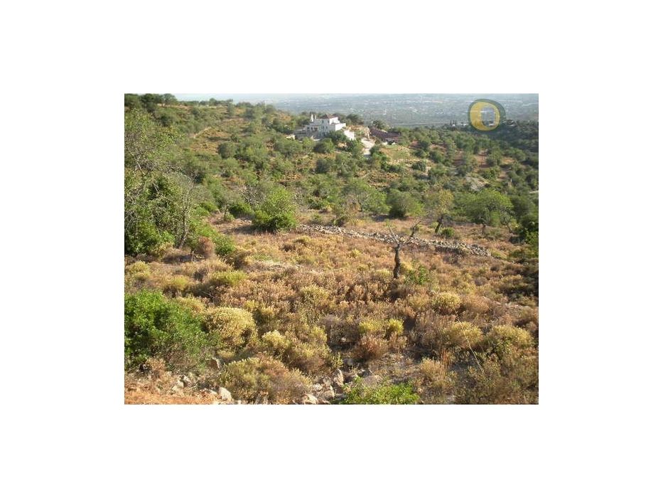 Terreno com vista mar