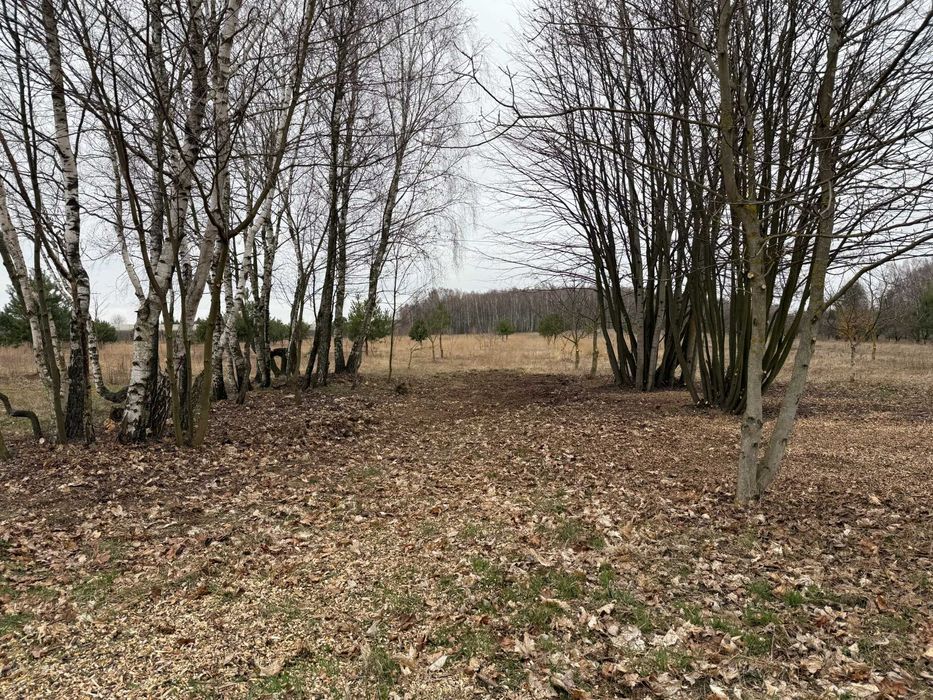 Wyjątkowa oferta- Działka 1,58 ha pod zabudowę