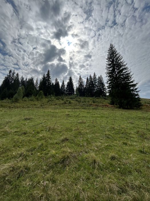 Продається 1.2 гектара з можливістю зміни цільового призначення