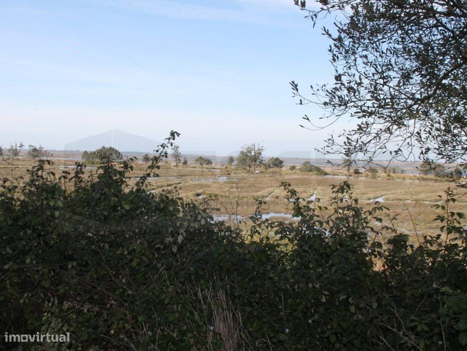 Terreno com vistas Ria - Passadiços