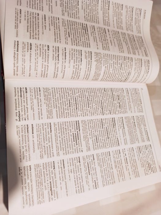 Słownik wyrazów obcych i zwrotów obcojezycznych z almanachem