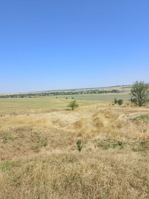 С/Х ферма(Свиноферма)