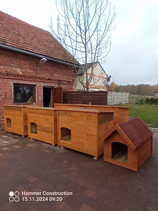 Buda dla psa polecam/Promocja!