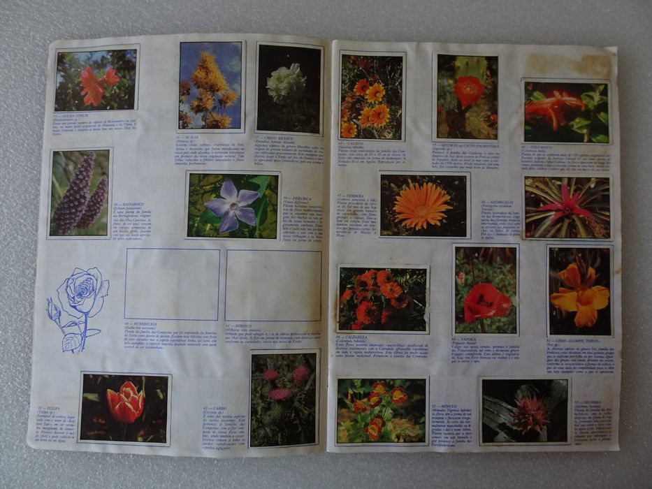 Caderneta de cromos Mundo Botânico - Francisco Más (faltam 54 cromos)