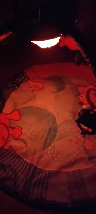 Ginásio Chicco Bubble gym