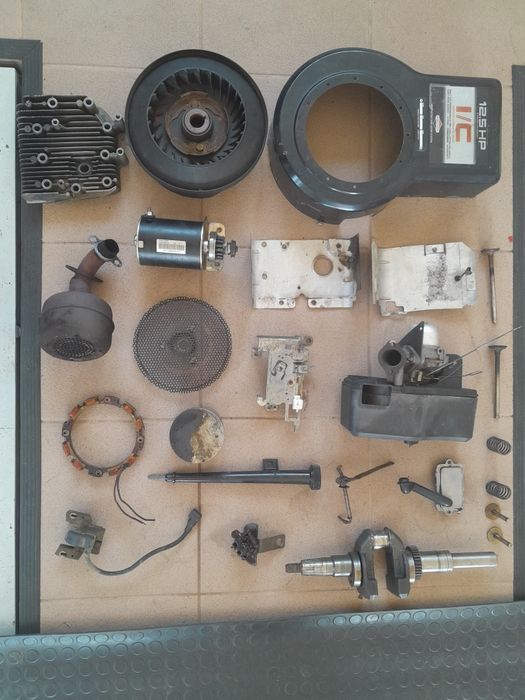 Silnik Briggs Stratton