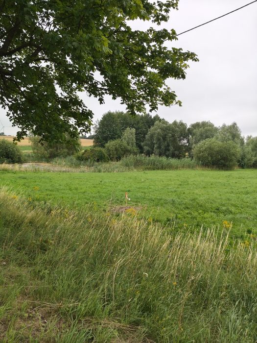 Siedlisko marzeń: 1,08 ha zarybionych stawów + 3399 m² budowlanej | 4 km od Sztumu