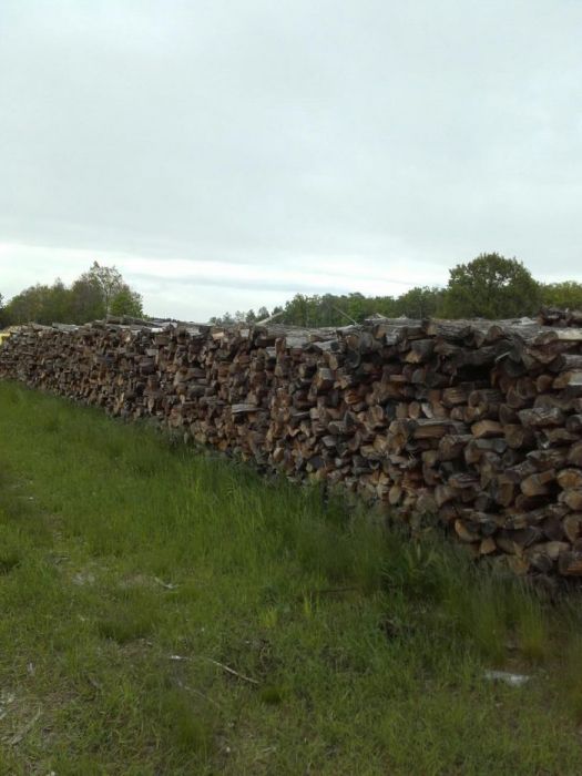 Drewno kominkowe 2023 sezonowane Warszawa i okolice