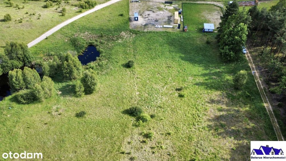 Działka budowlana w sąsiedztwie lasu - Widok 6