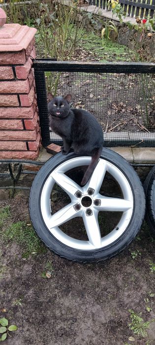 Диски на Ауді А4Б8