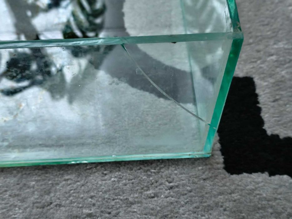 akwarium/terrarium dla chomika, żółwia