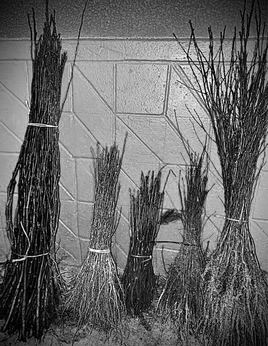 Продам подвой великий вибір