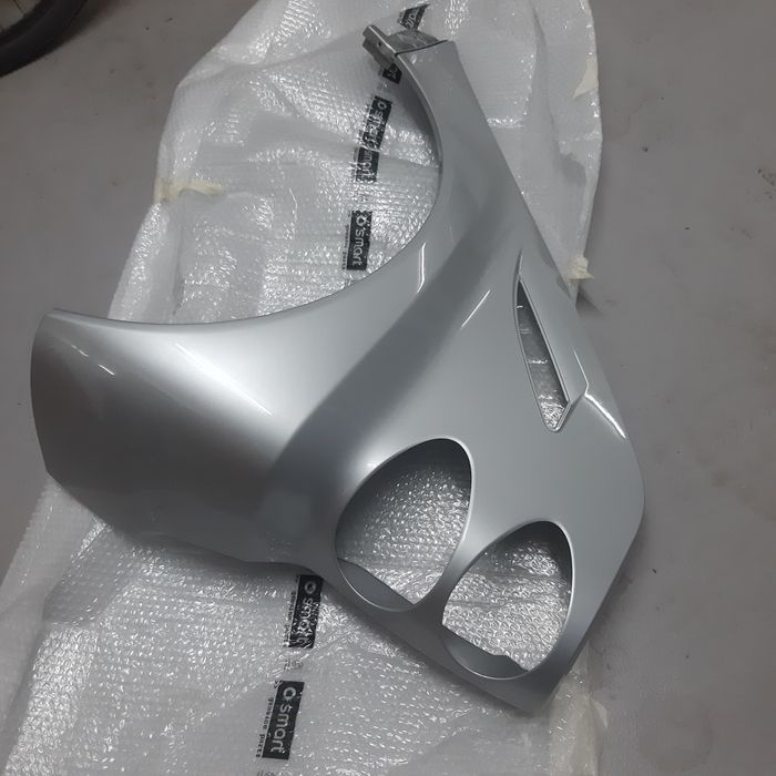 Vendo 2 guarda lamas(esq e drt) trás smart 451 modelo 2010 como novos