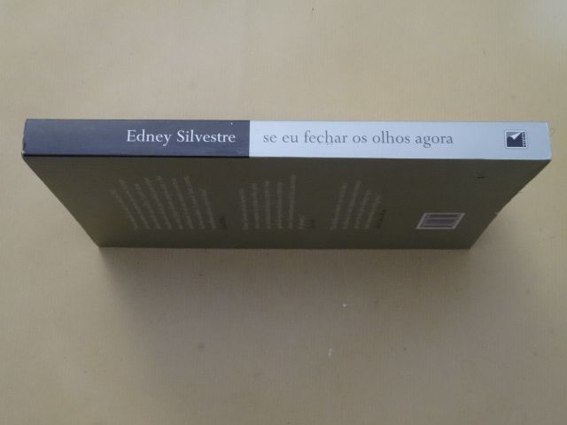 Se Eu Fechar os Olhos Agora de Edney Silvestre
