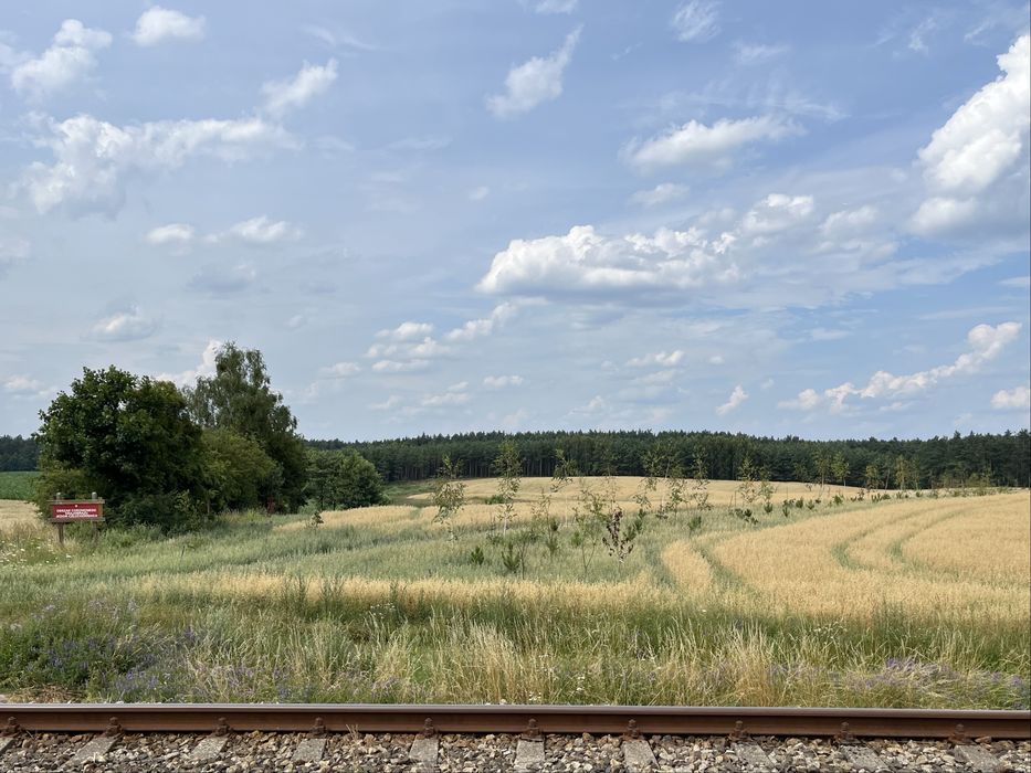 Działka budowlana z bezterminowymi warunkami zabudowy w Ględowie