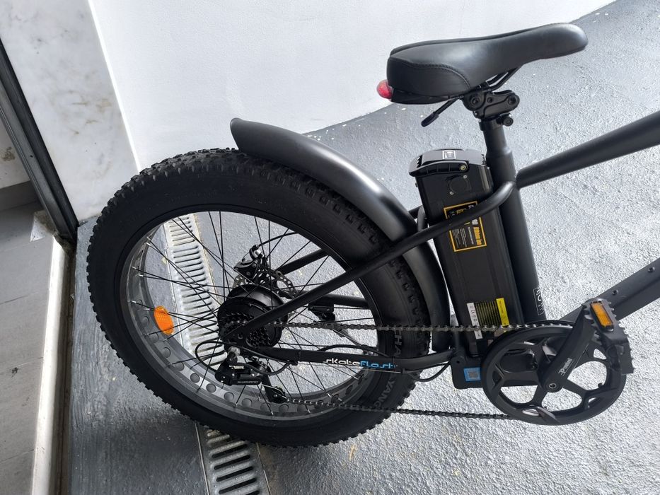 Bicicleta Elétrica Skate Flash YYEB-12 Estado Nova