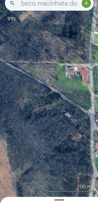 Terreno em Macinhata do Vouga. Possibilidade de Destacamento