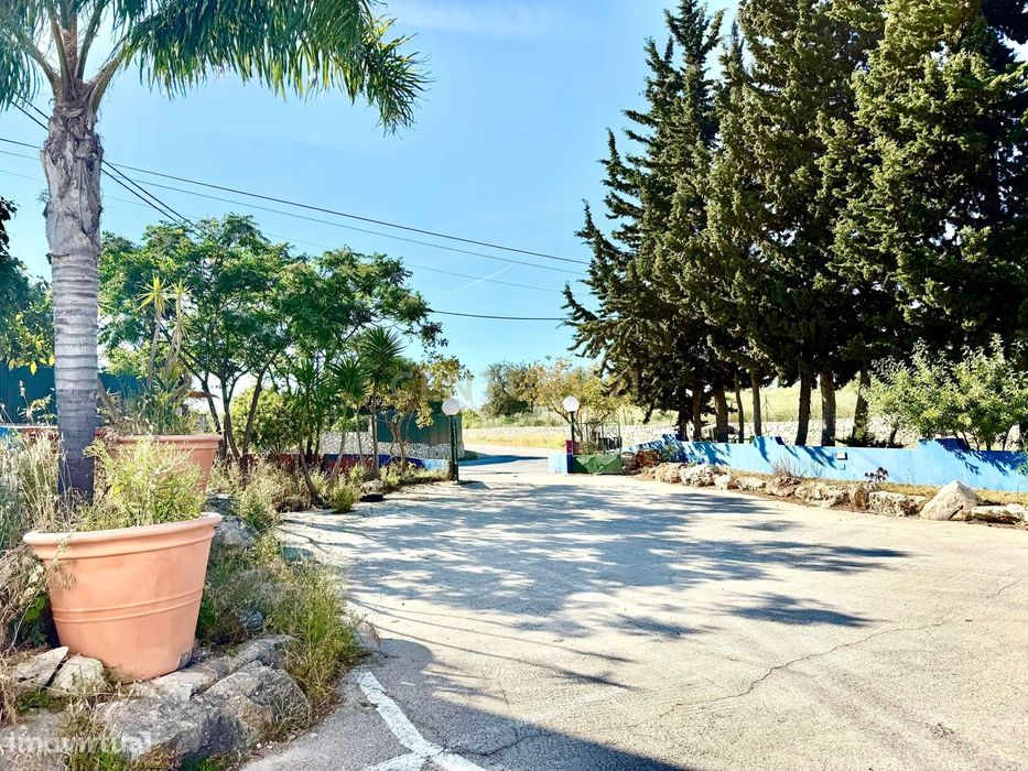 Oportunidade Única em Localização Privilegiada