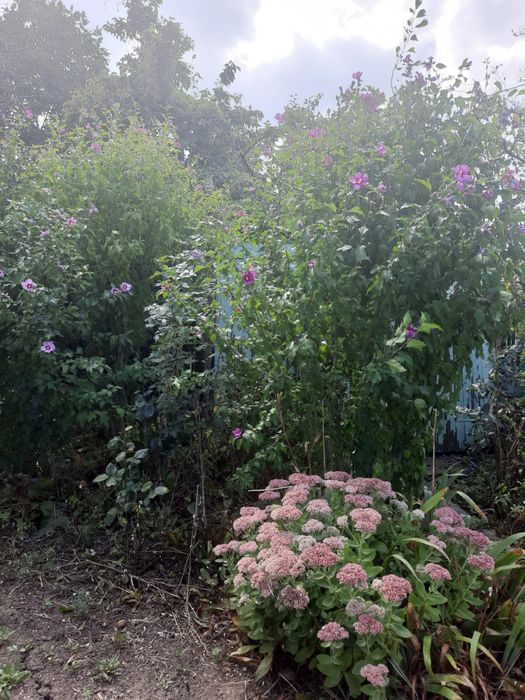 Дом по адресу (площадь 60 м²) - Atlanta.ua - фото 8