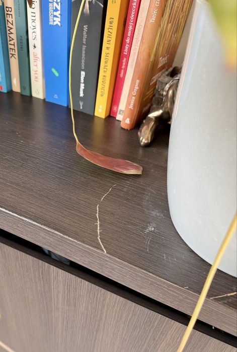 Meble do salonu BRW w kolorze wenge / komplet mebli