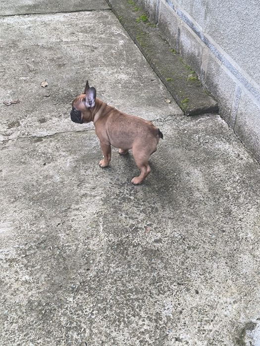 Дівчинка та хлопчик.