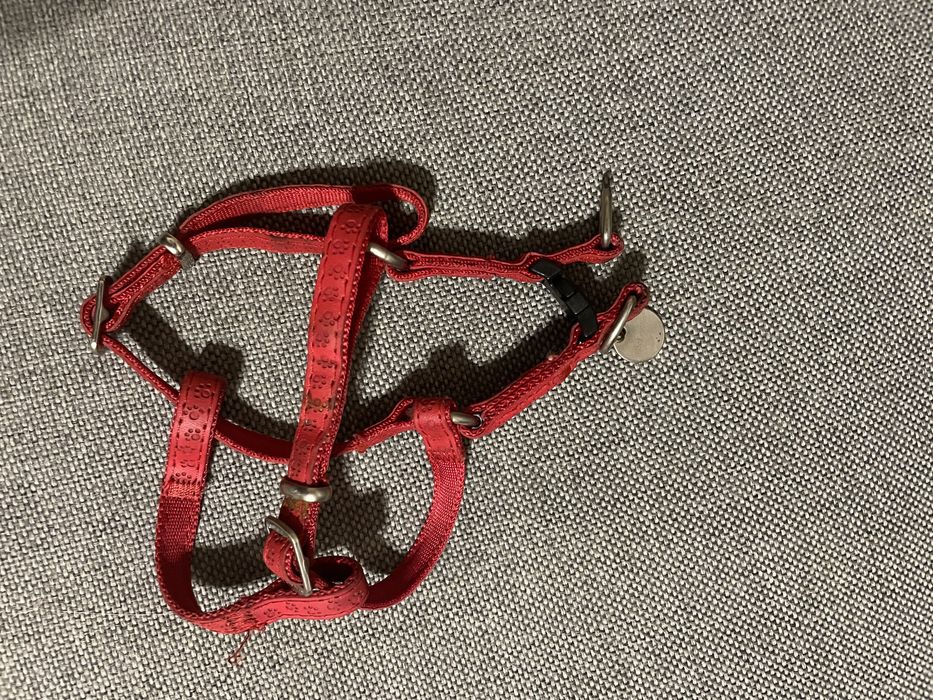 Czerwone szelki skórzane XS  Mac leather