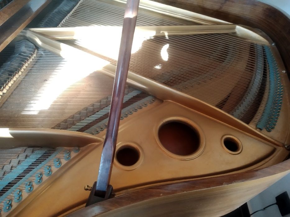 Piano de cauda Extremamente Raro