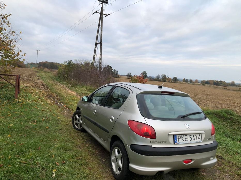 Peugeot 207 206/2004r#1.4 benzyna#