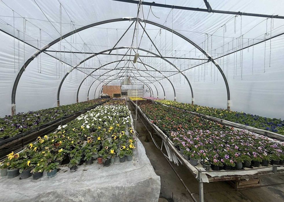 Продаж комерційного приміщення в Яришівці