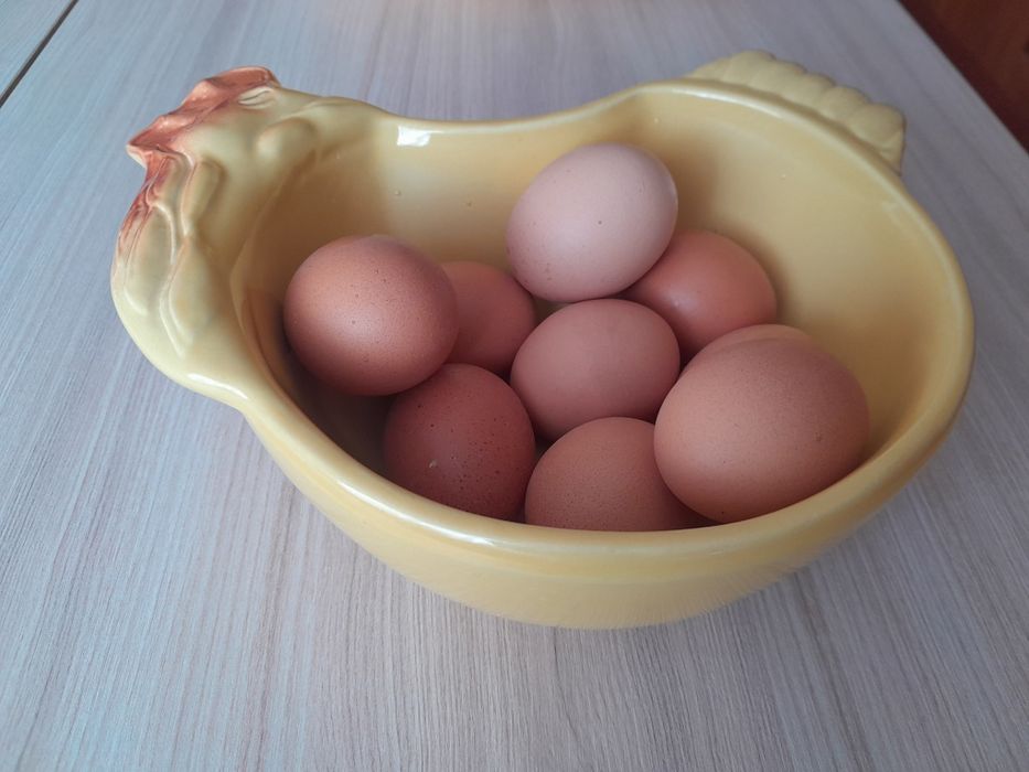 Miska ceramiczna w kształcie kury np. na jajka