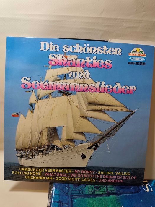 Płyty Winylowe Dekoracyjne 10szt