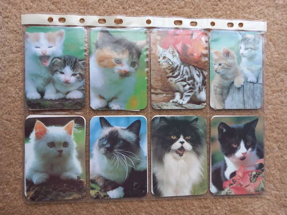 Calendários de bolso + bolsa (portes incluídos)