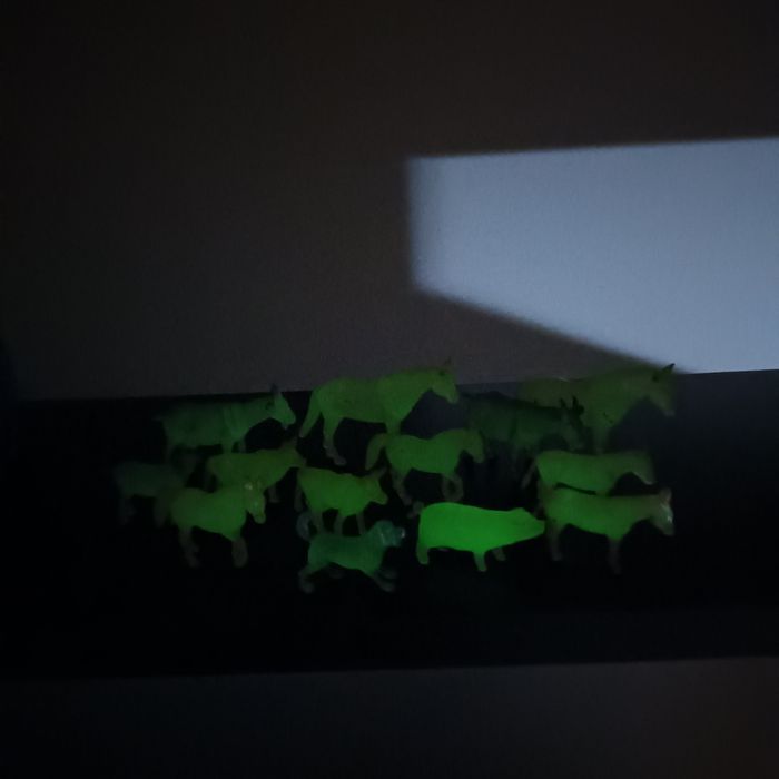 São figuras de animais de plástico  brilham no escuro glow in the dark